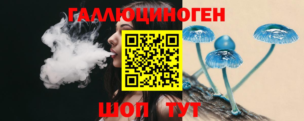 Богородицк  Галлюциногенные грибы GOLDEN TEACHER  Вход с VPN 